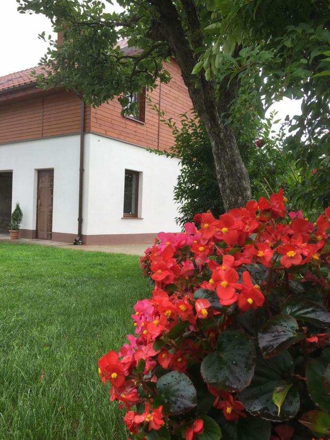 Pokoje Kasztanowa Wilkasy Buitenkant foto